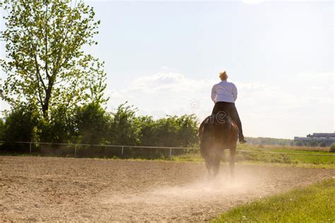 Mulher Loura Bonita Que Monta Um Cavalo No Campo Foto De Stock Imagem