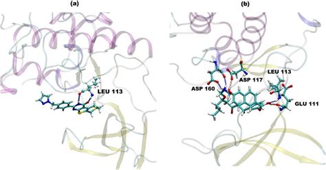 H Bond Interactions A Ligand Complex And In B Ligand Complex