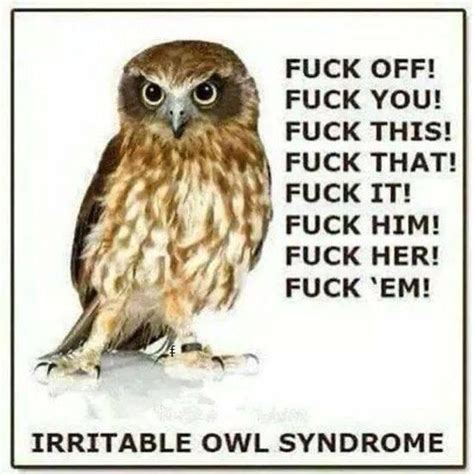 FUCK OFF FUCK YOU FUCK THIS FUCK THAT FUCK IT FUCK HIM FUCK HER FUCK EM IRRITABLE OWL