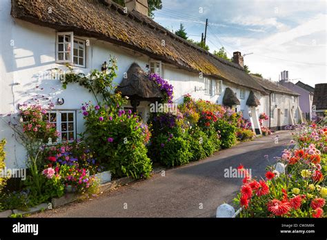 Cottage In Branscombe Devon England United Kingdom Europe Stock