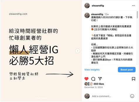 ig olea  fig marketing brand