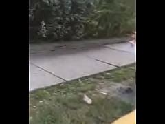 Big Booty Ebony Ass Jiggle While Walking Xxx Mobile Porno Videos Movies Iporntv Net