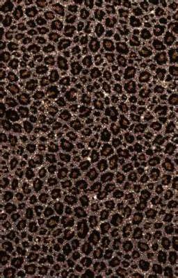 They Fuck Me Better Chapter 1 Wattpad