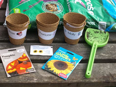 Planting Sunflowers Eyfs at Louis Samson blog