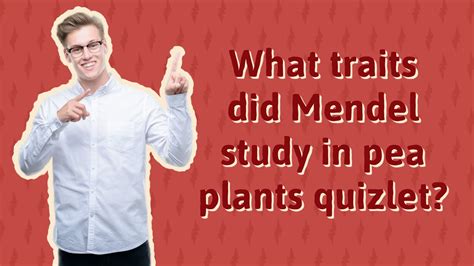 What Traits Did Mendel Study In Pea Plants Quizlet YouTube