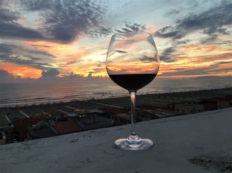 Reservations – Cypress Tours