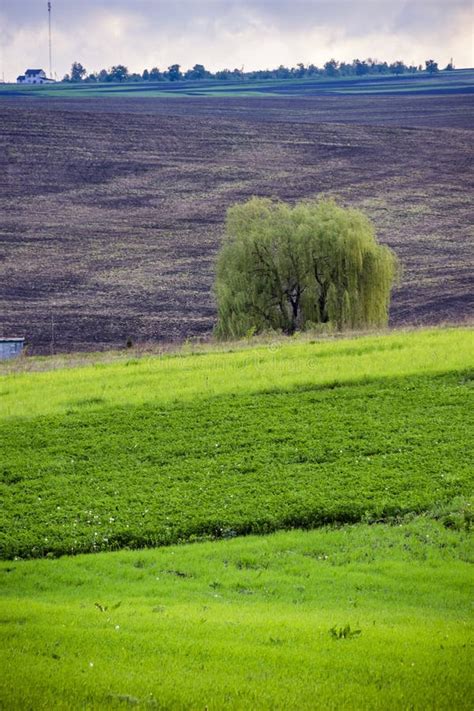 Arable Field Farm Stock Photo Image Of Farming Farm 111511884