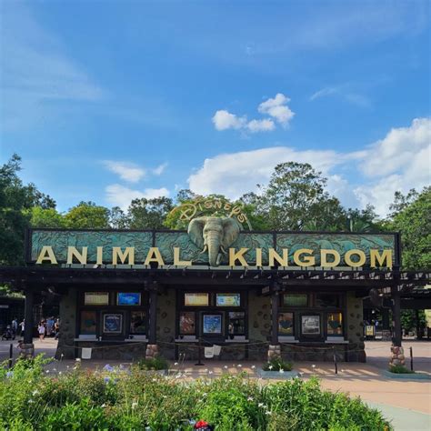 7 Best Rides in Animal Kingdom (and 1 to avoid) - simplifyorlando.com