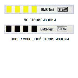 Тест Боуи-Дика