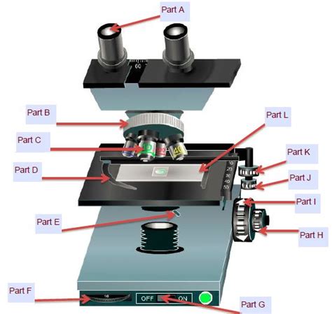 Microscope Lab Pic - Weebly Website for OHVA