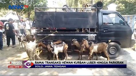 Transaksi Hewan Kurban Meningkat Hingga Persen Di Solo Lim