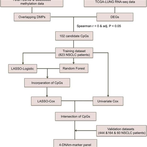 Workflow Chart Of Cpg Marker Selection Two Dna Methylation Dnam