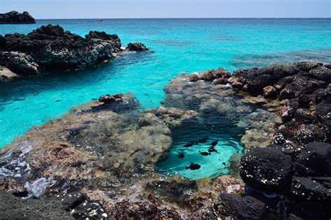 Il Mare E Le Spiagge Di Ascensione Isola Tropicale NellAtlantico