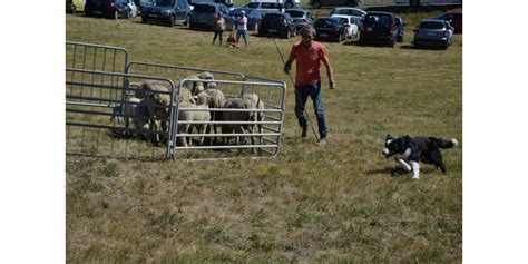 Saint Christol Dalbion Dimanche Aura Lieu La E Foire Concours Aux