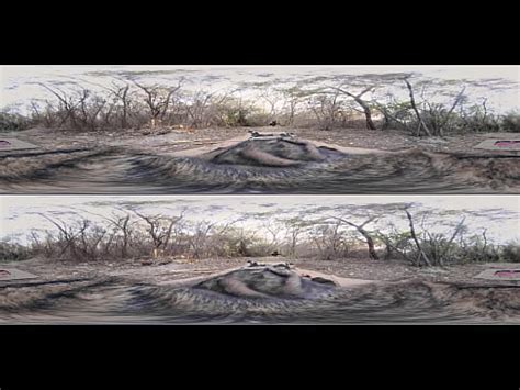 VR PORN Big Tits Latine Hot Yoga Class XVIDEOS