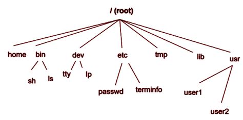 Unix System Architecture And Unix File System Tutorials Hut