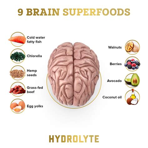 Here Are The Super Foods For The Brain That Should Never Be Missed