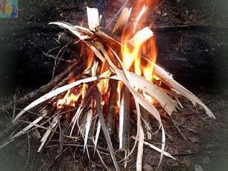 Походный костер. Виды костров, правила розжига и пользования.