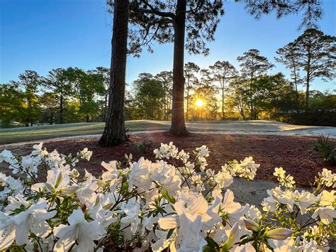 Spring Swing: Myrtle Beach Golf In Photos - MBN.com