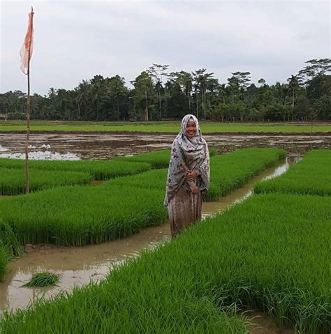 Gambar Petani Jaman Dulu Pulp