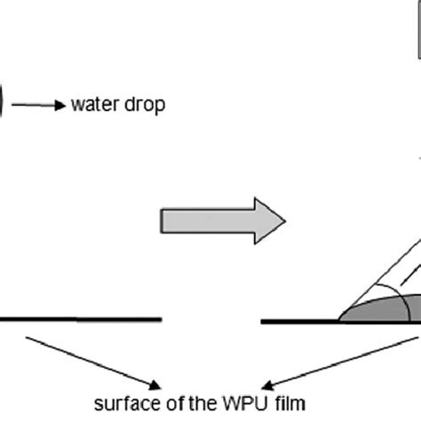 schematic working principle  dsa  scientific diagram