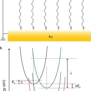 A A Schematic Of A Metalmolecule Metal Junction And Energy Band