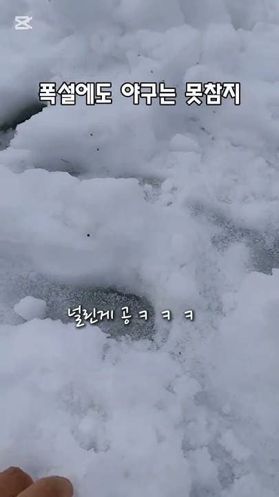 폭설에도 야구리틀야구 폭설 야구 초1 기흥리틀 임태온 Youtube