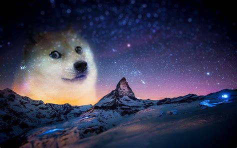 🔥 20 Meme 4k Wallpapers Wallpapersafari