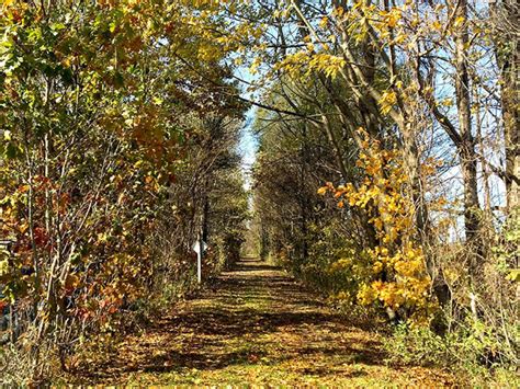 Van Buren Trail State Park | Michigan