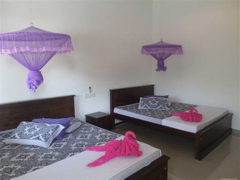 Holiday Hotels In Kataragama Kataragama Rooms Kataragama Hotels