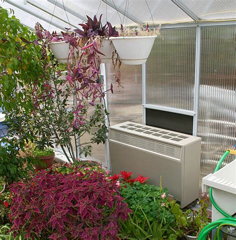 Best Greenhouse Temperature Control Techniques To Help Your Plants