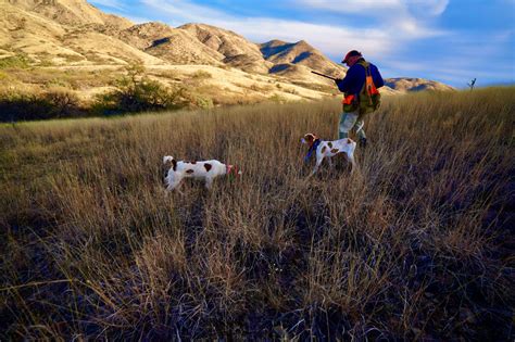 Mearns Quail Habitat Restoration - Southern Arizona Quail Forever