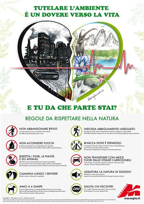 Regole Da Rispettare Nella Natura Marsupio