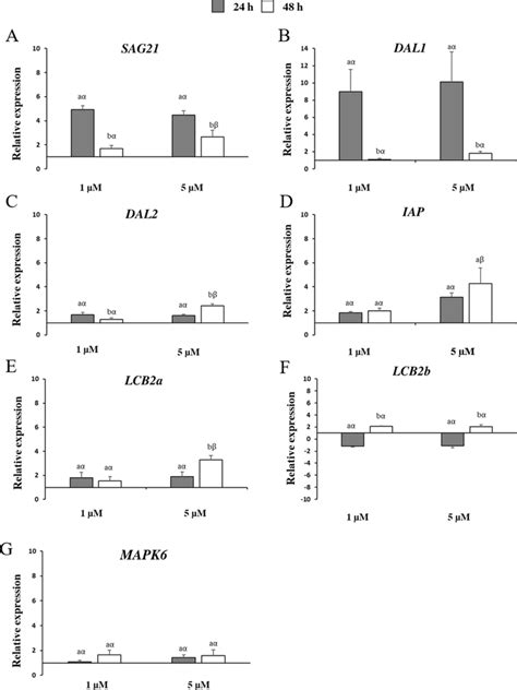 Relative Expression Of Arabidopsis Genes Encoding Download