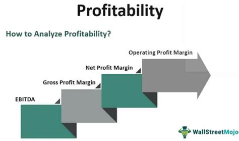 Profitability Meaning Vs Revenue Formula Example