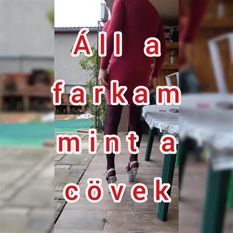 My Dick Is Like A Stake Hungarian Shemale Ladyboy Ladyboy Porn Xhamster