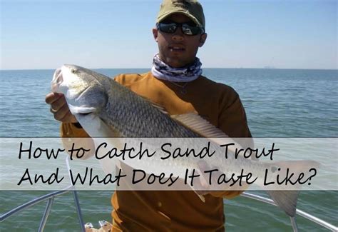 How To Catch Sand Trout And What Does It Taste Like Ouachita