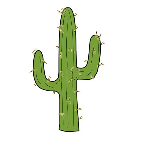 cactus clipart png hq transparent cactus drawing cactus clipart