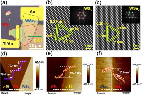 Structural Properties Of The Hdh Photodetector A Optical Micrograph