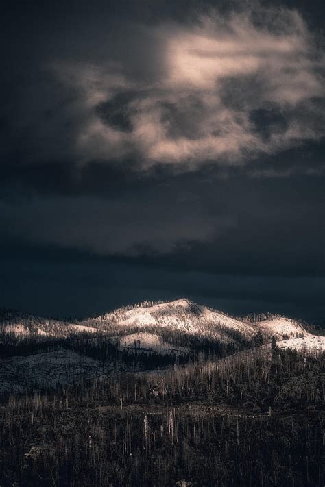 Nature Trees Mountains Snow Vertex Top Forest Snow Covered