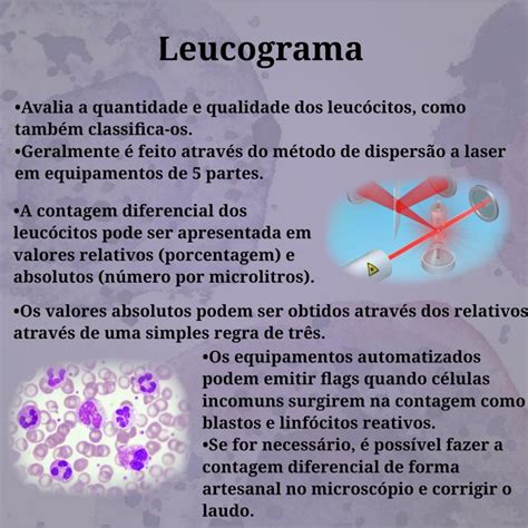 Sobre O Leucograma É Correto Afirmar Que - O leucograma é a parte do hemograma que avalia a quantidade e a ...