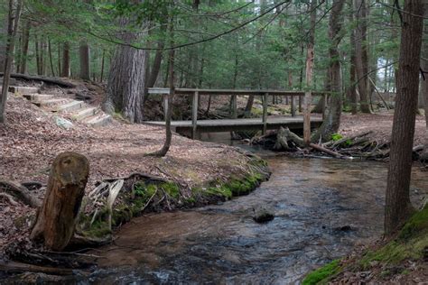 Hiking Through Locust Lake State Park In Schuylkill County Uncovering PA