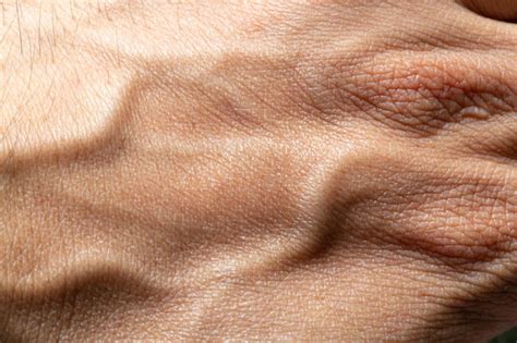 Human Body Skin Textures