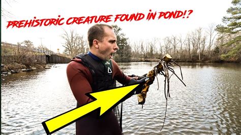 Found This While River Treasure Hunting Youtube