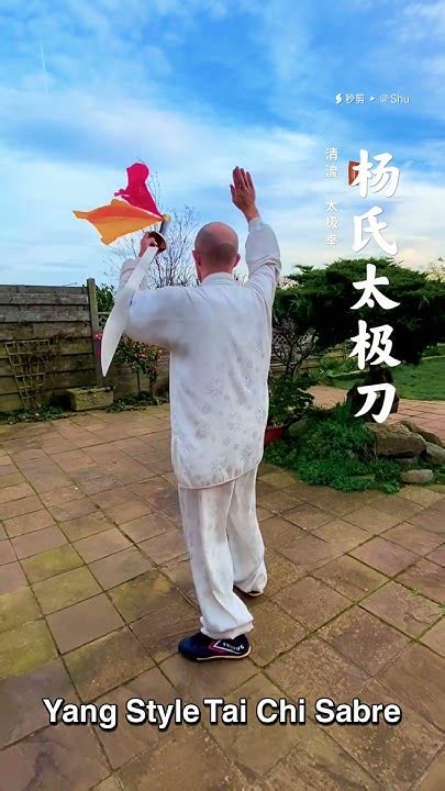 Yang Style Tai Chi Dao Youtube