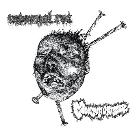 split w/ Internal Rot | Moisturizer