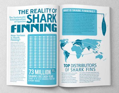 Sharks Infographic Projects Photos Videos Logos Illustrations And