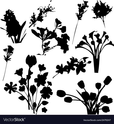 Flowers silhouettes Royalty Free Vector Image - VectorStock