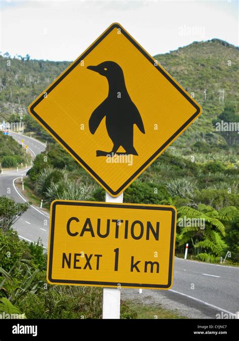 Penguin Warning Road Sign South Island New Zealand Stock Photo Alamy