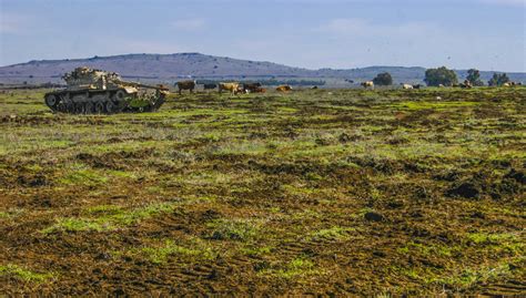 Кому выгодно строительство военного полигона Минобороны в Ингушетии ...